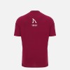 Sale Sharks 2025/26 Junior Training Tee